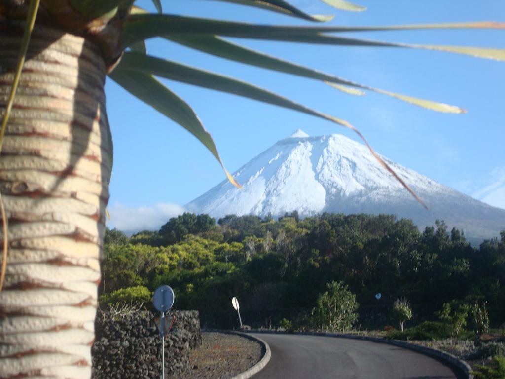Pico Formoso Vinea Lava Alojamentos Pico 普赖尼亚德拜舒 外观 照片